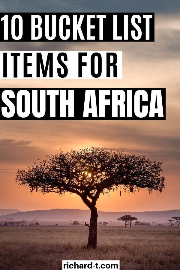 things to do in south africa