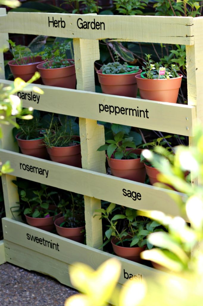 Herb garden DIY idea