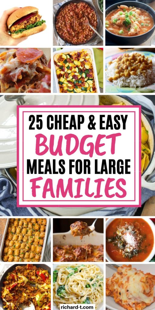 Budget Meals for Large Families